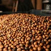 Close-up of best coffee beans for office vending freshly roasted and ready for brewing