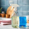 Best multi-surface cleaner Noida spray bottle with blue cleaning cloth on kitchen counter