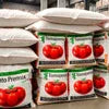 Tomato Soup Premix bags by soup premix wholesaler ghaziabad for office and cafe vending