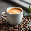 White ceramic cup of coffee on coffee beans showcasing Instant Coffee Premix Gurgaon for office or vending use