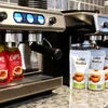Nescafé Coffee Premix Supplier India: Quality, Wholesale, and Service Guide
