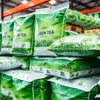 Green Tea Premix Bulk India | COFFEE WALLA's Wholesale Solutions