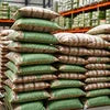 Tea Premix Wholesale Bihar: Reliable Bulk Supply for Your Business | COFFEE WALLA