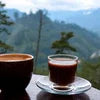 Atlantis Coffee Premix Arunachal Pradesh: The Ultimate Guide by COFFEE WALLA
